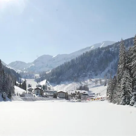 In Area Chalet