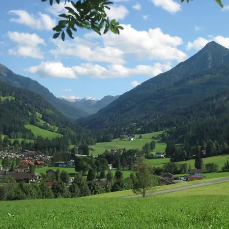 Chalet In Area *