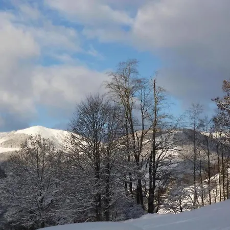 Chalet In Near Lift Saalbach-Hinterglemm