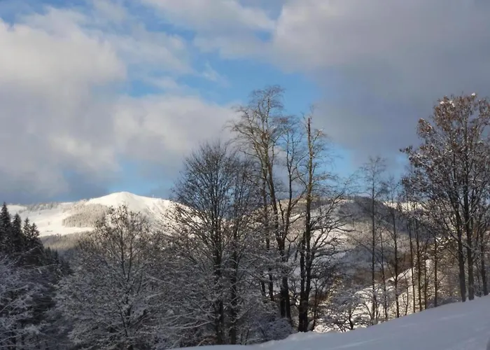 Domek alpejski In Near Lift Saalbach-Hinterglemm