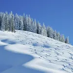 In Near Lift