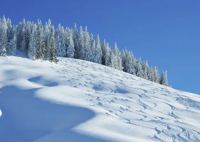 In Near Lift